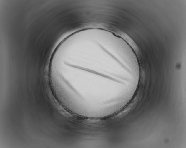 X0000100341052200807031254