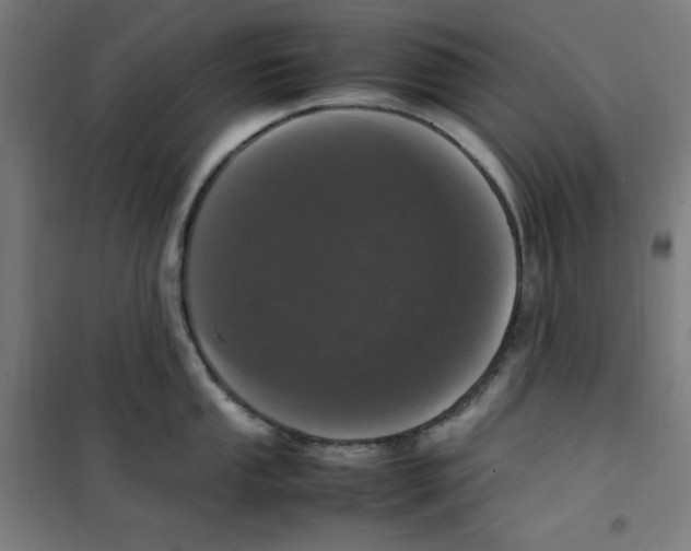 X0000100341053200807031254