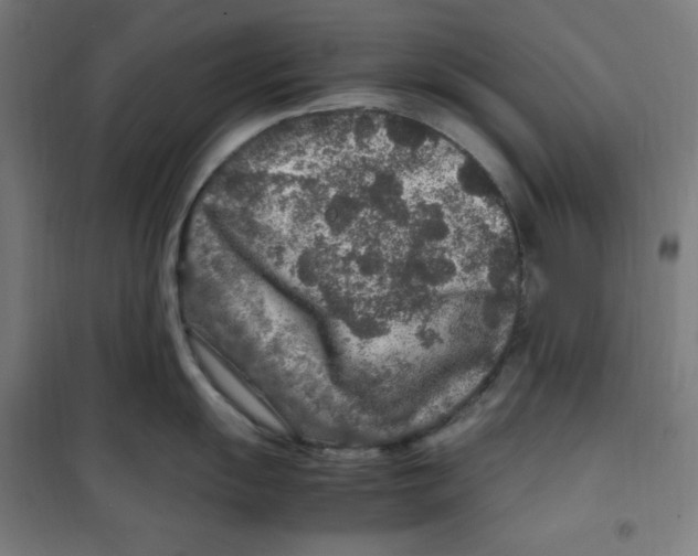 X0000100341055200807031254