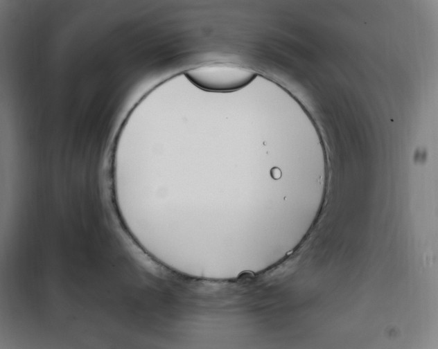 X0000100341056200807031254