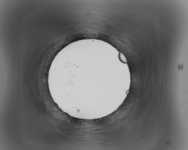 X0000100341057200807031253