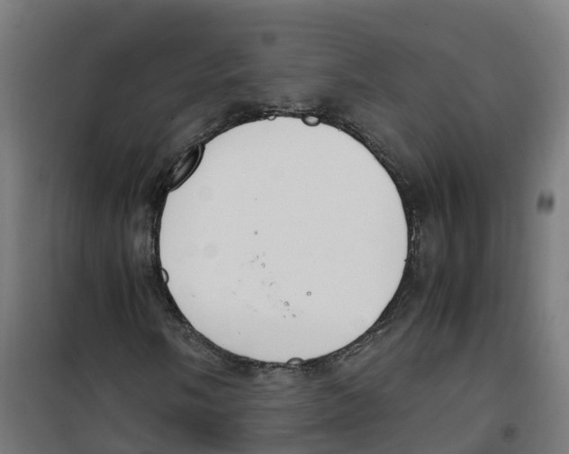 X0000100341058200807031253