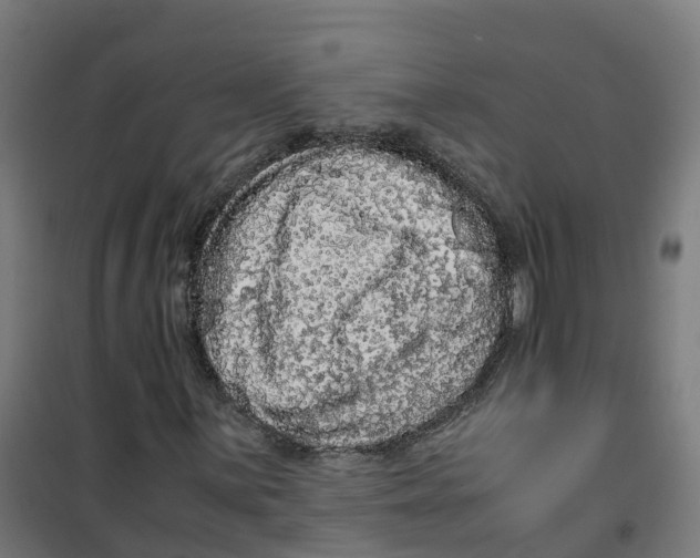 X0000100341059200807031253