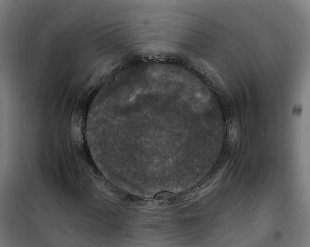 X0000100341060200807031253