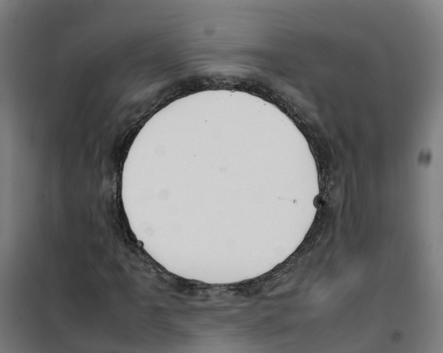 X0000100341061200807031253