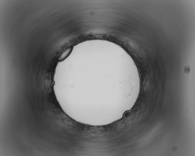 X0000100341062200807031253