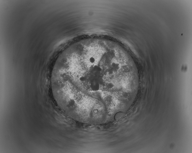 X0000100341063200807031253