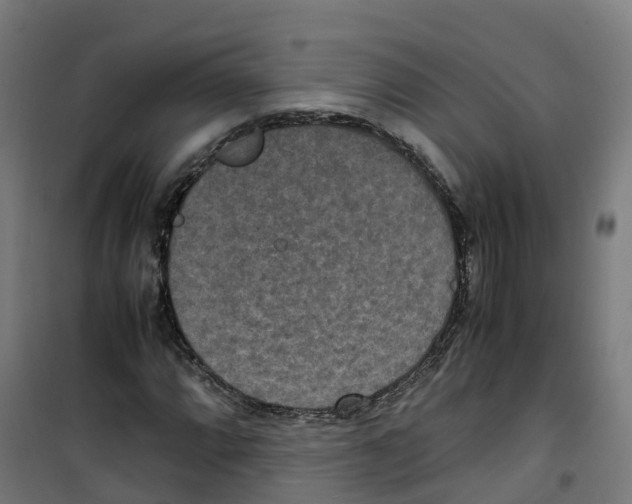 X0000100341064200807031253