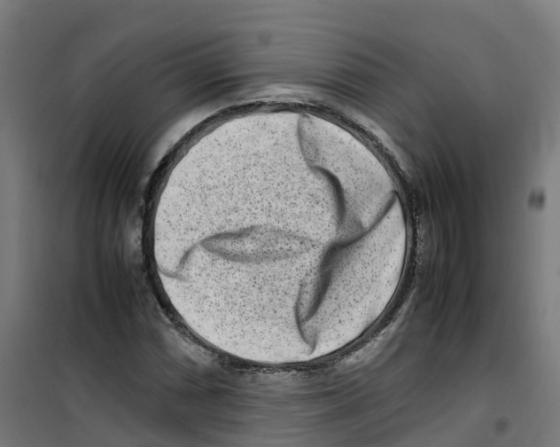 X0000100341066200807031253