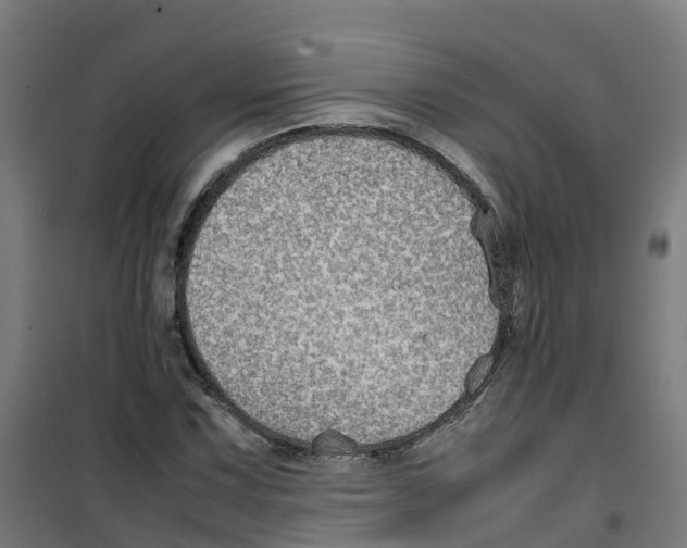 X0000100341067200807031253