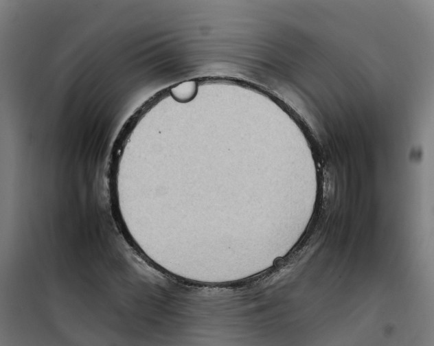 X0000100341068200807031253