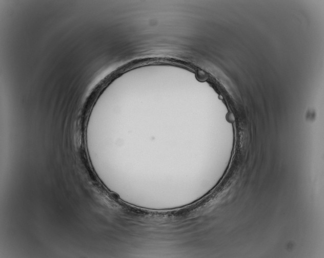 X0000100341069200807031253