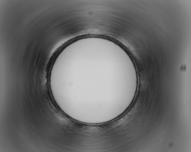 X0000100341070200807031253