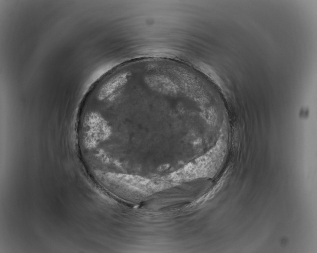 X0000100341071200807031253