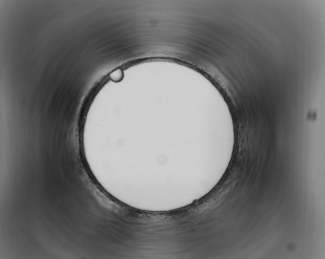 X0000100341072200807031253