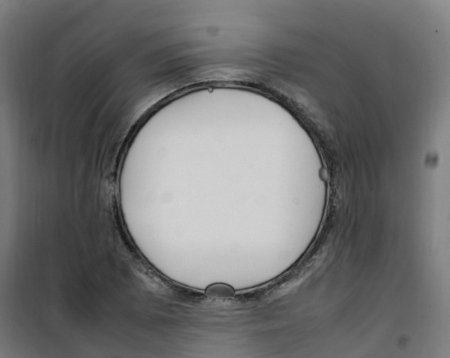 X0000100341073200807031253