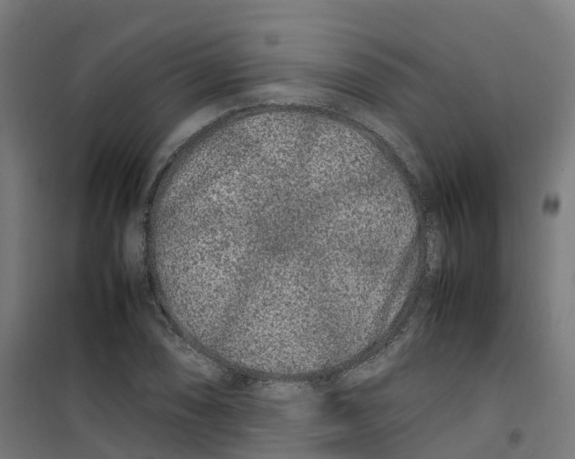 X0000100341074200807031253