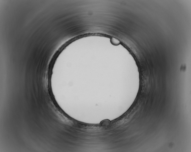 X0000100341076200807031253