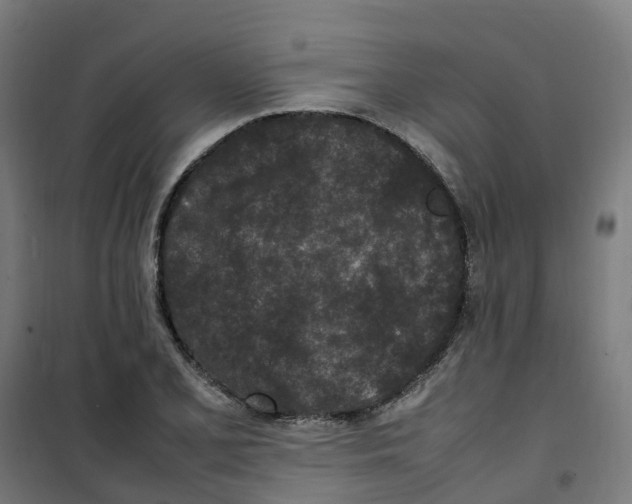 X0000100341077200807031253