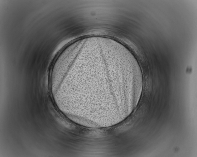 X0000100341078200807031253