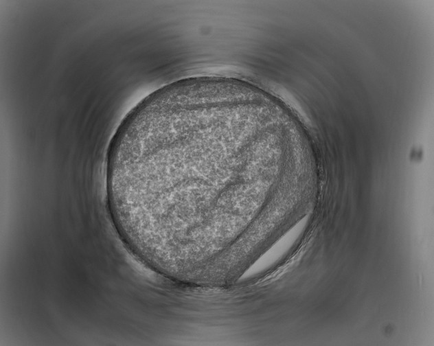 X0000100341079200807031253