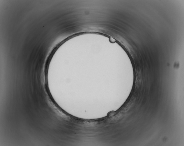 X0000100341080200807031253