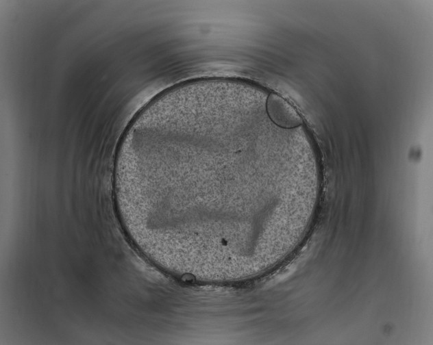 X0000100341081200807031253