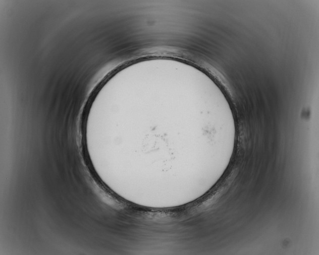 X0000100341082200807031253