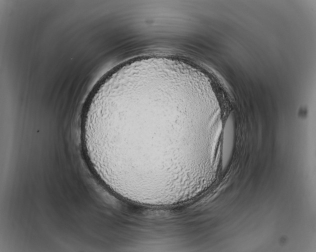 X0000100341083200807031253