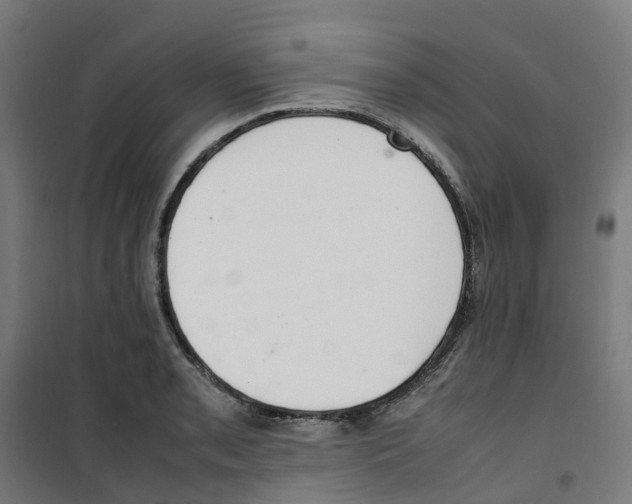 X0000100341085200807031253