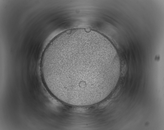 X0000100341086200807031253