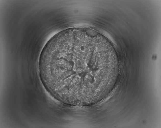 X0000100341087200807031253