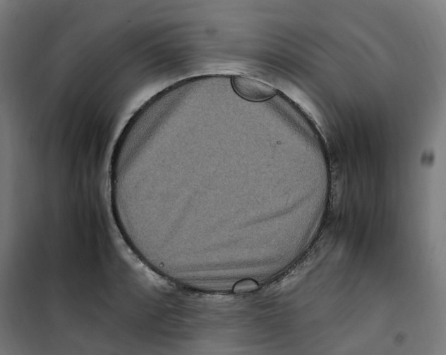 X0000100341088200807031253