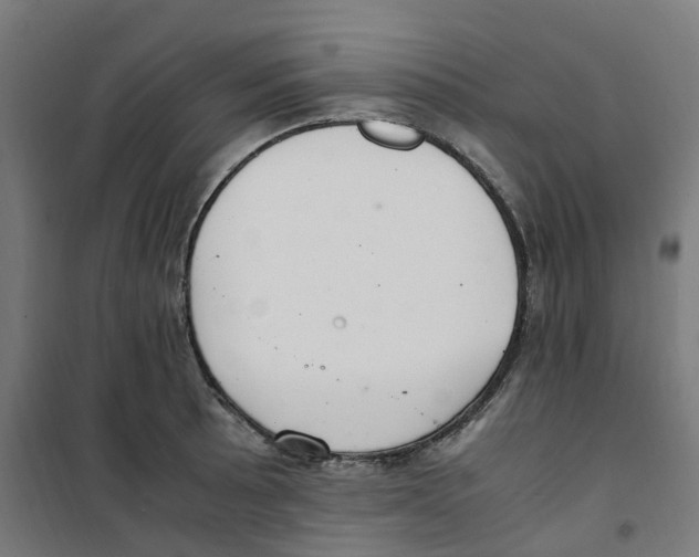 X0000100341089200807031253