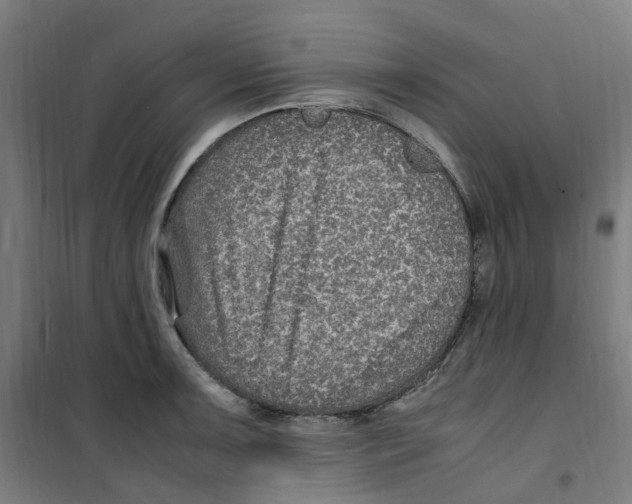 X0000100341091200807031253