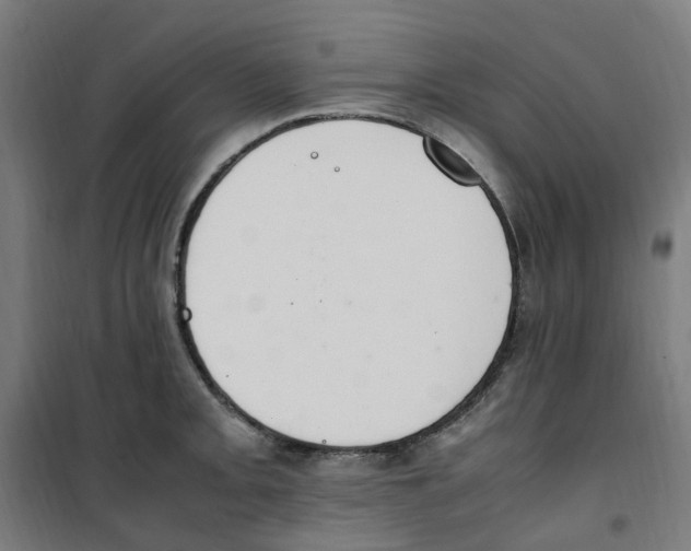 X0000100341093200807031253