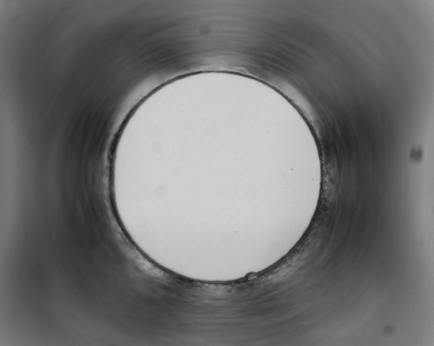 X0000100341096200807031253