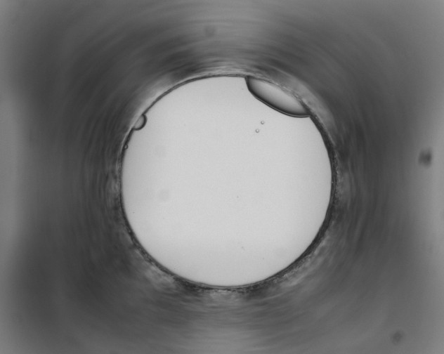 X0000100341097200807031252