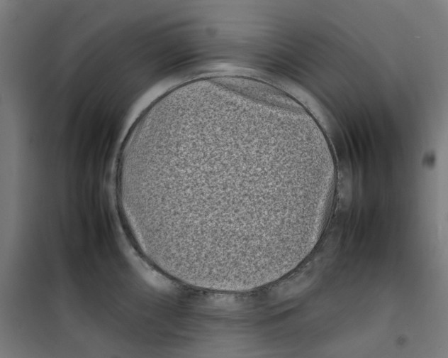 X0000100341098200807031252