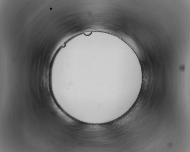 X0000100341100200807031252