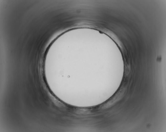 X0000100341101200807031252