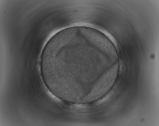 X0000100341102200807031252