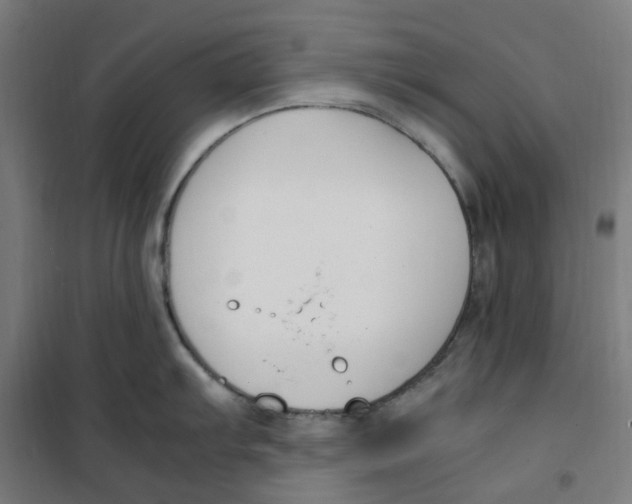 X0000100341103200807031252