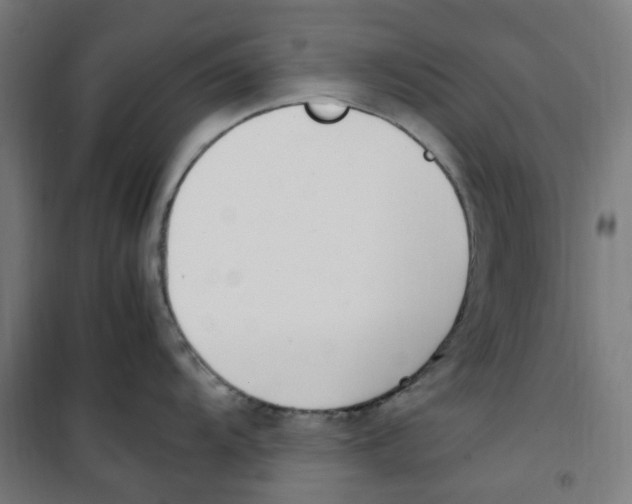 X0000100341104200807031252