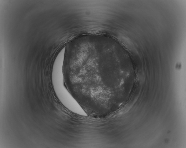 X0000100341106200807031252