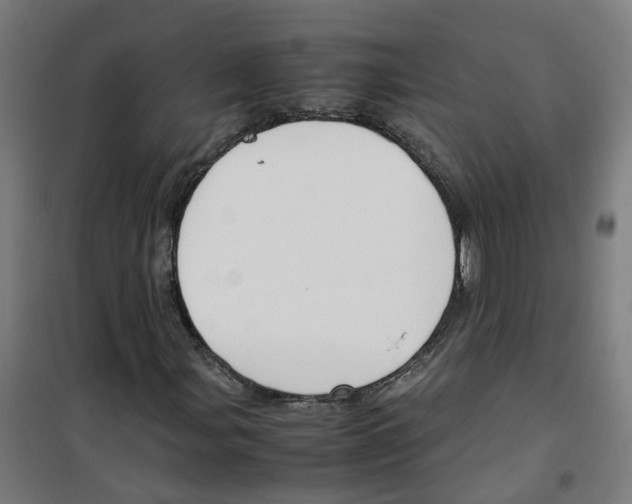 X0000100341107200807031252