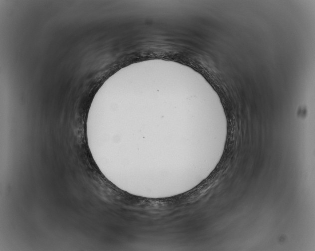 X0000100341109200807031252