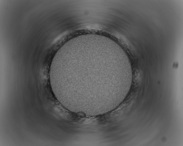 X0000100341110200807031252