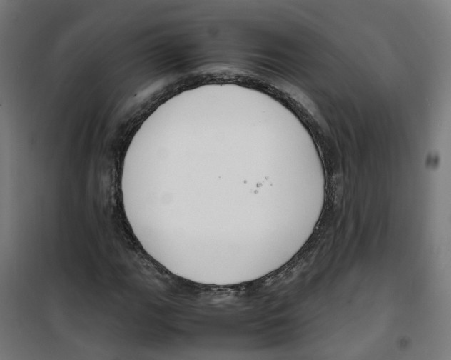 X0000100341111200807031252