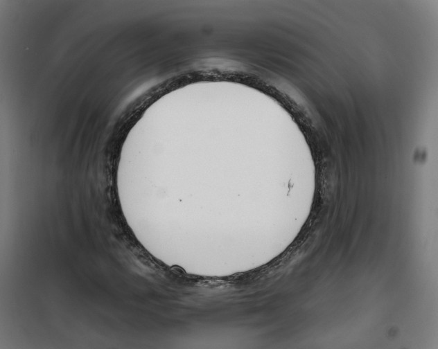 X0000100341112200807031252